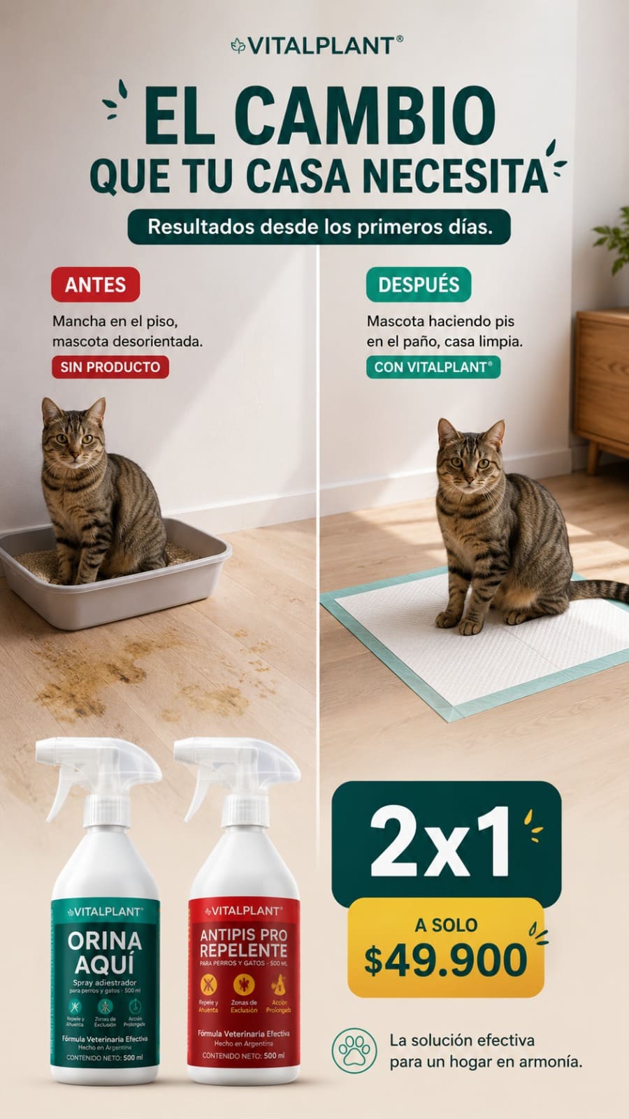 Kit Adiestramiento VITALPLANT – ORINA AQUÍ + ANTIPIS PRO | Le Enseña Dónde SÍ y Dónde NO Hacer Pis