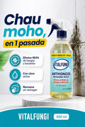 VitalFungi – Antihongos y Antimoho para Paredes | Elimina el Moho y Previene su Regreso