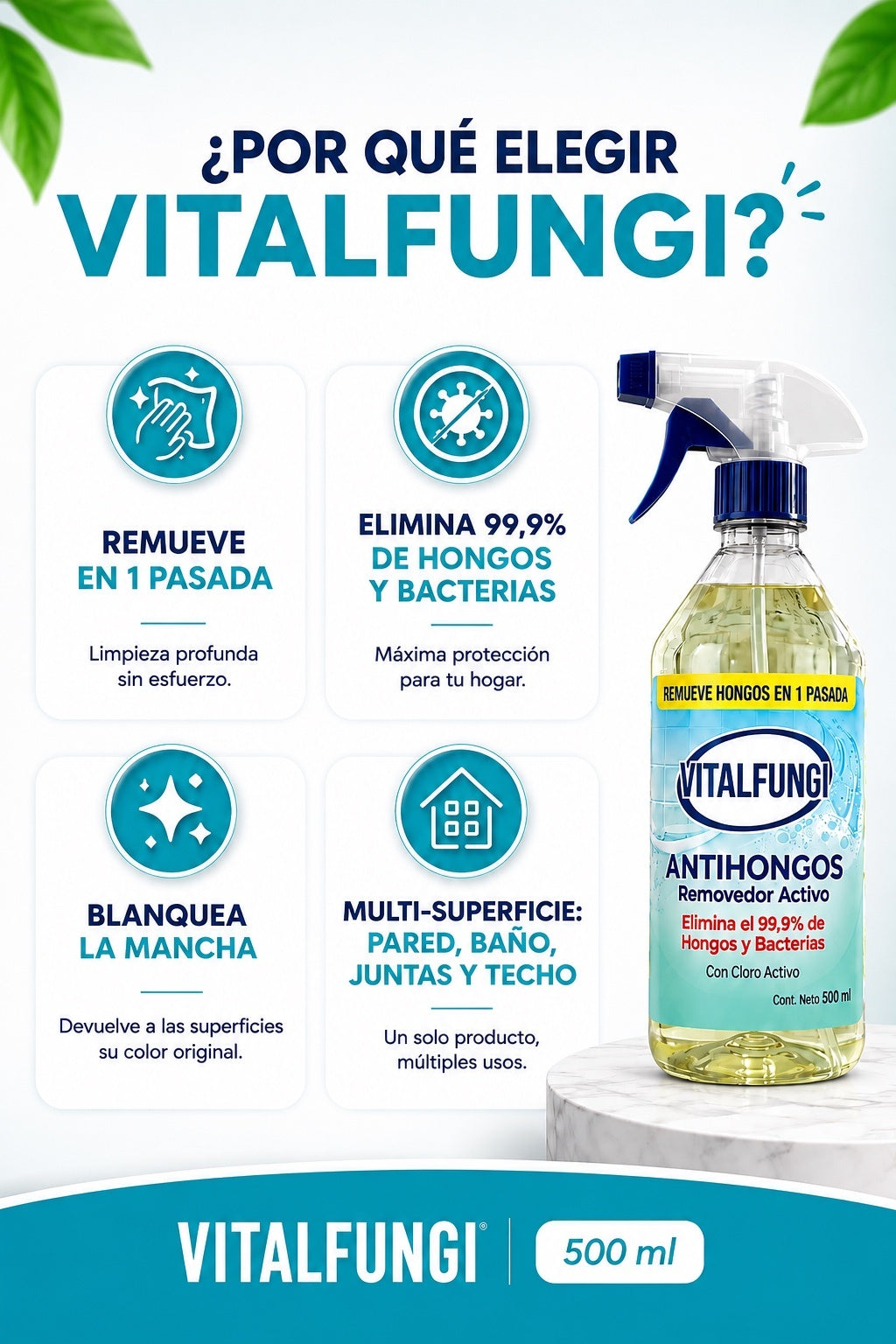 VitalFungi – Antihongos y Antimoho para Paredes | Elimina el Moho y Previene su Regreso