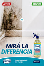 VitalFungi – Antihongos y Antimoho para Paredes | Elimina el Moho y Previene su Regreso