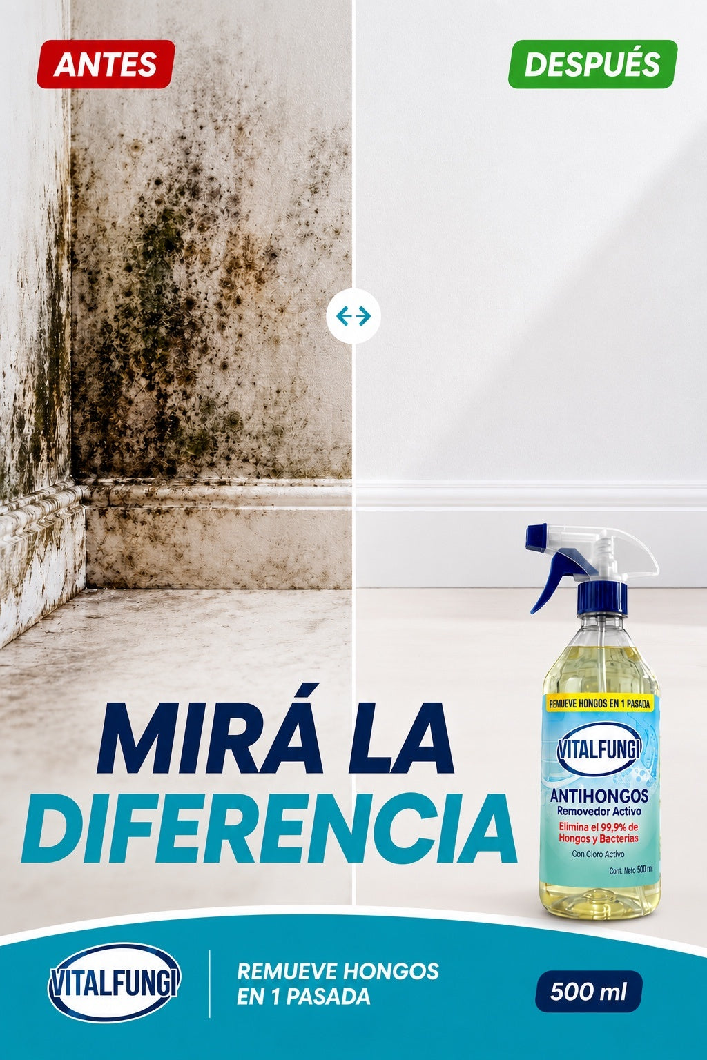 VitalFungi – Antihongos y Antimoho para Paredes | Elimina el Moho y Previene su Regreso
