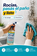 VitalFungi – Antihongos y Antimoho para Paredes | Elimina el Moho y Previene su Regreso