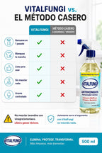 VitalFungi – Antihongos y Antimoho para Paredes | Elimina el Moho y Previene su Regreso