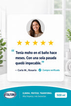 VitalFungi – Antihongos y Antimoho para Paredes | Elimina el Moho y Previene su Regreso